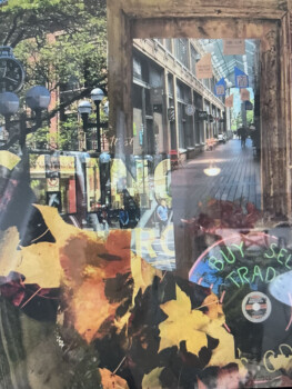 Vinyl Vibes